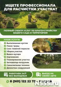 Расчистка/уборка участка. Спил деревьев.